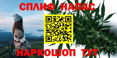 кокс Будённовск